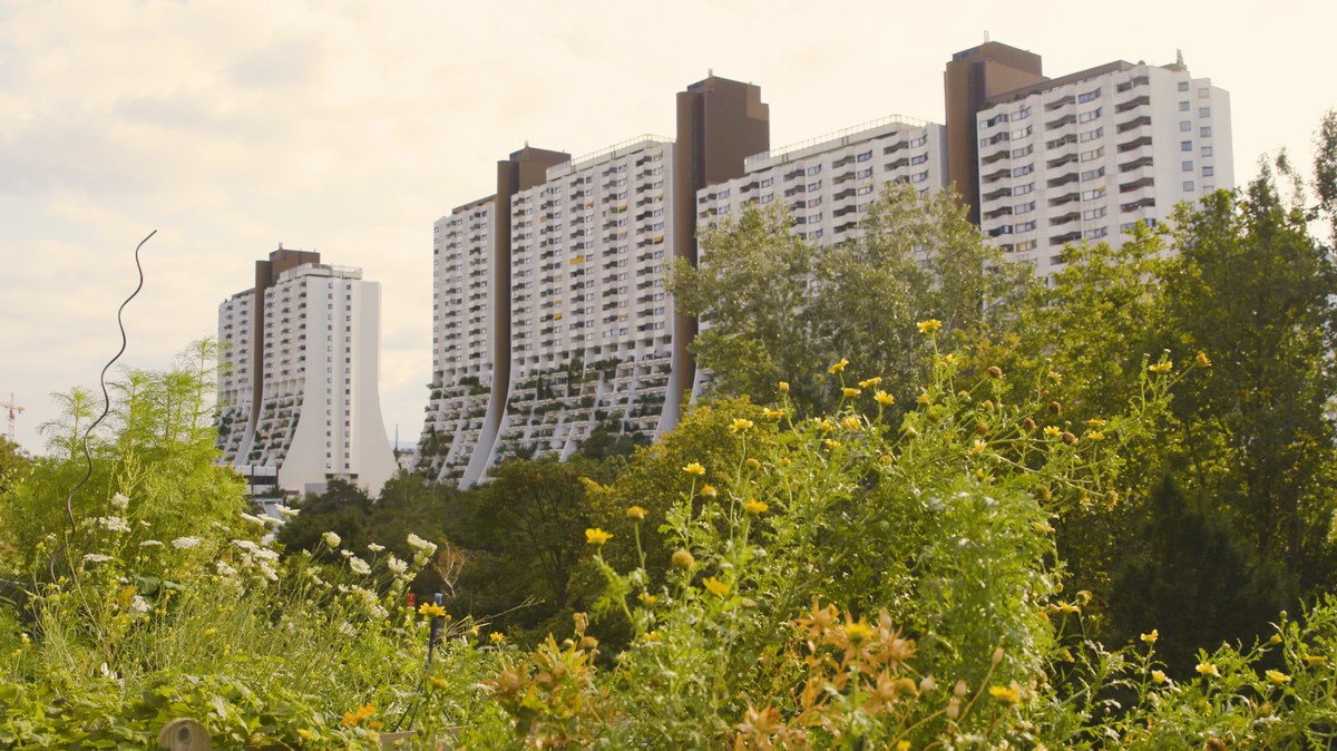 Design tours: The world’s best public housing? – Film [Video]