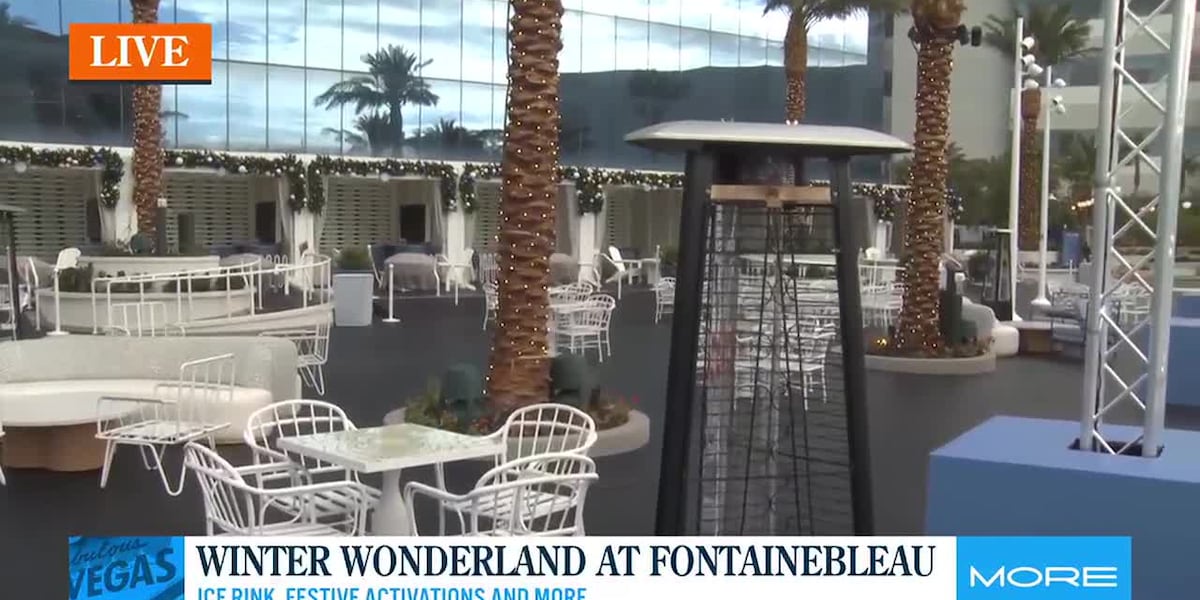 Winter Wonderland at Fontainebleau [Video]