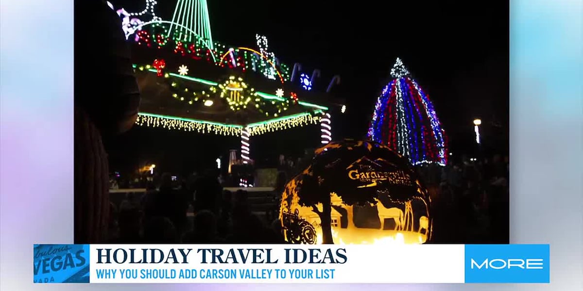 Holiday travel ideas [Video]