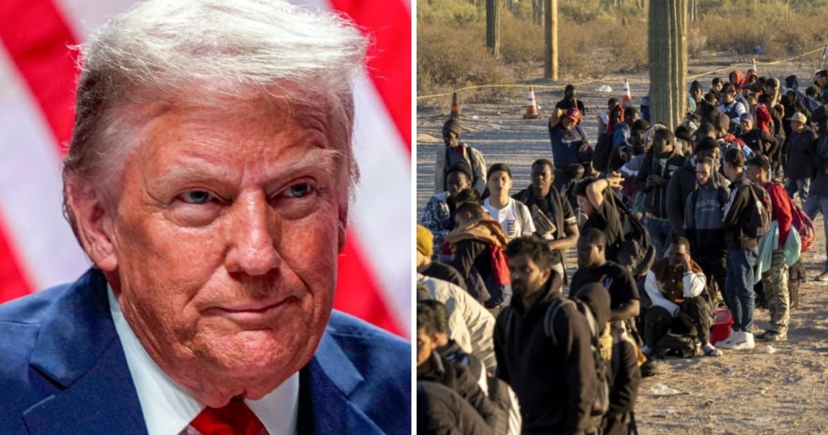 Global solution: Why Trumps mass deportations may not fix immigration [Video]