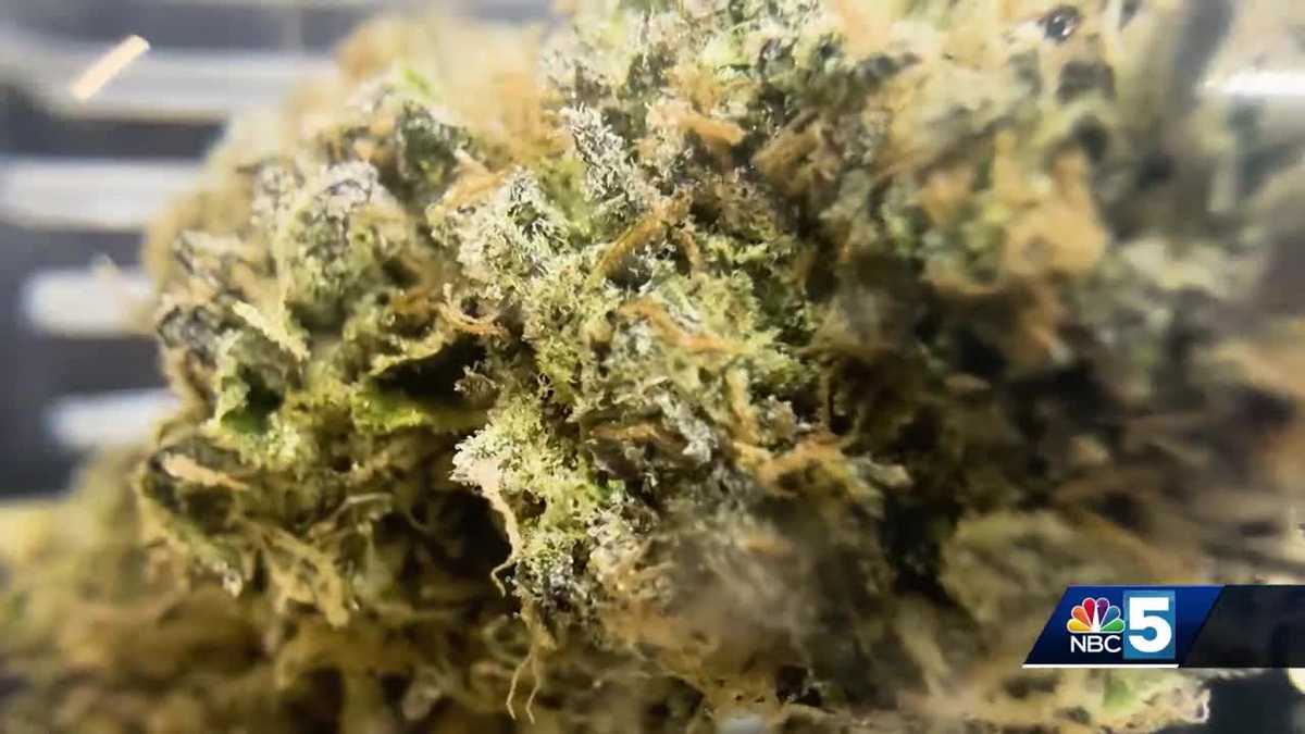 Dispensaries get in on ‘Green Wednesday’ for the Holiday stretch [Video]