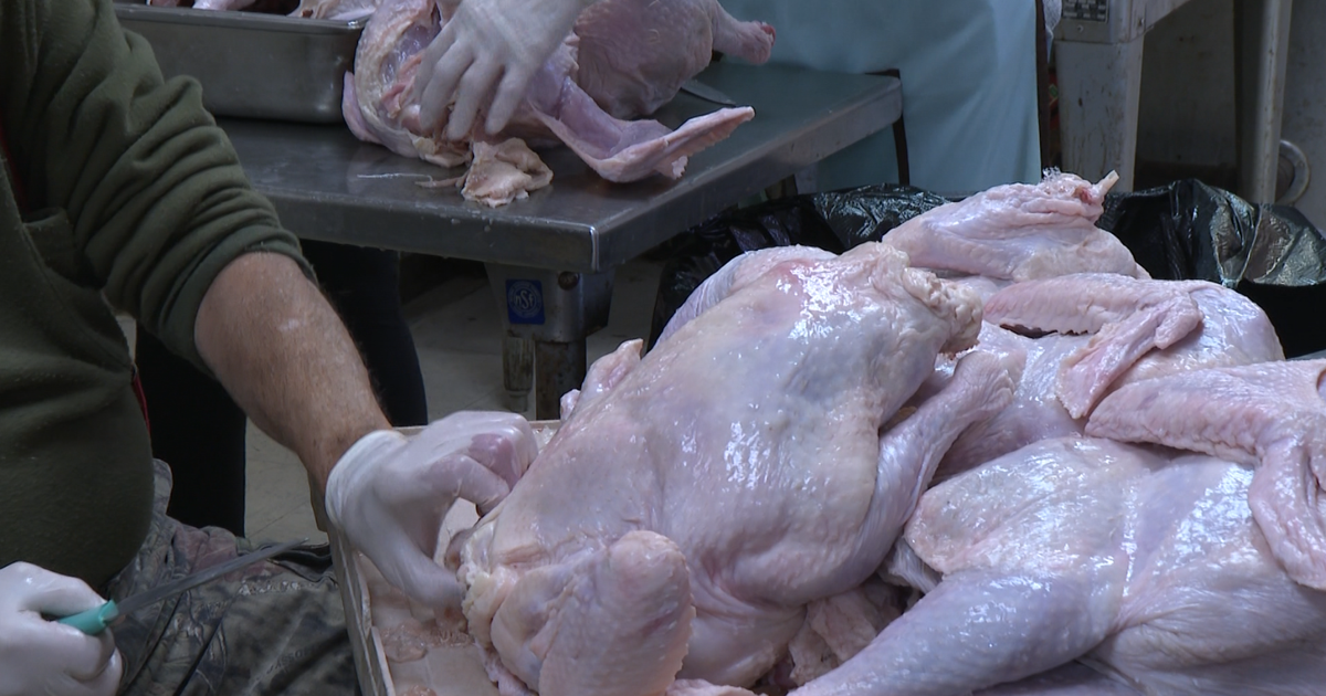 Columbia Rotary Club prepares record number of turkeys | Mid-Missouri News [Video]