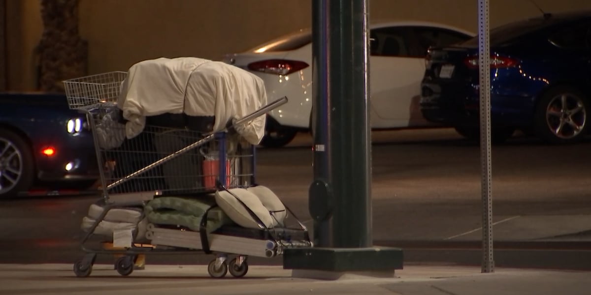 Homeless nonprofit founder overwhelmed by community support during Thanksgiving [Video]