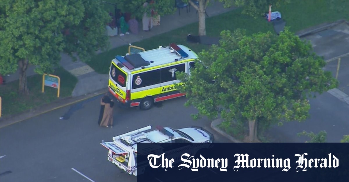 Boy, 2, dies after being hit by car during Brisbane schools pick-up time [Video]