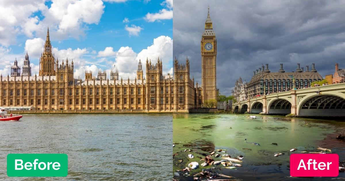 Rotting fish bob in UK rivers in disturbing AI images warning of sewage crisis | UK News [Video]