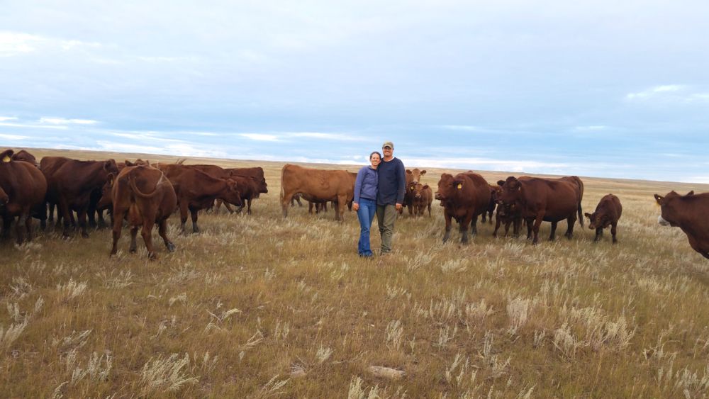 Regenerative Agriculture Spurs Growth on This Montana Farm [Video]