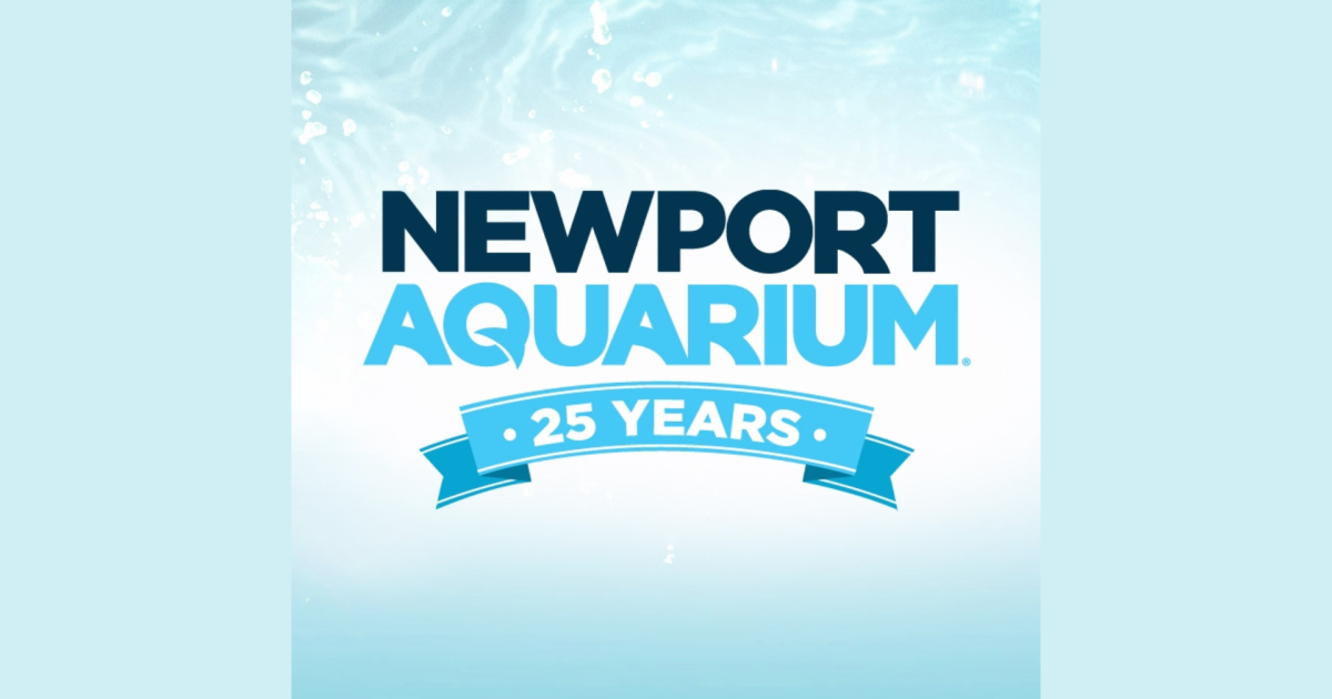 Newport Aquarium to host ‘Scuba Santa’s Water Wonderland’ [Video]