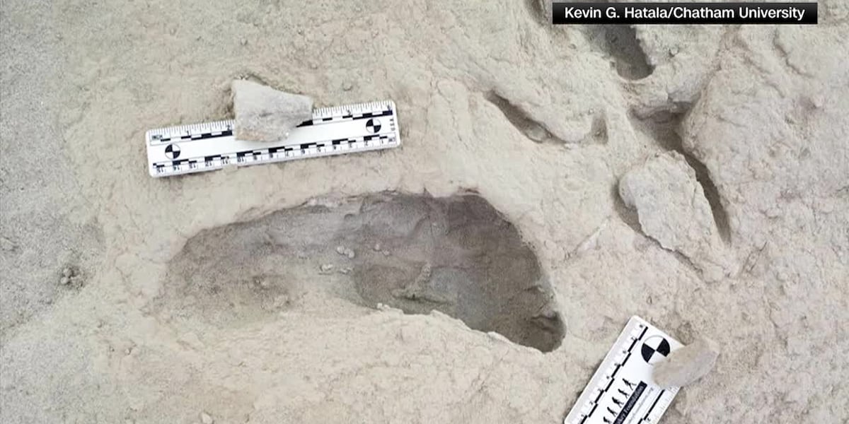 Muddy footprints suggest where 2 species of early humans met 1.5 million years ago [Video]