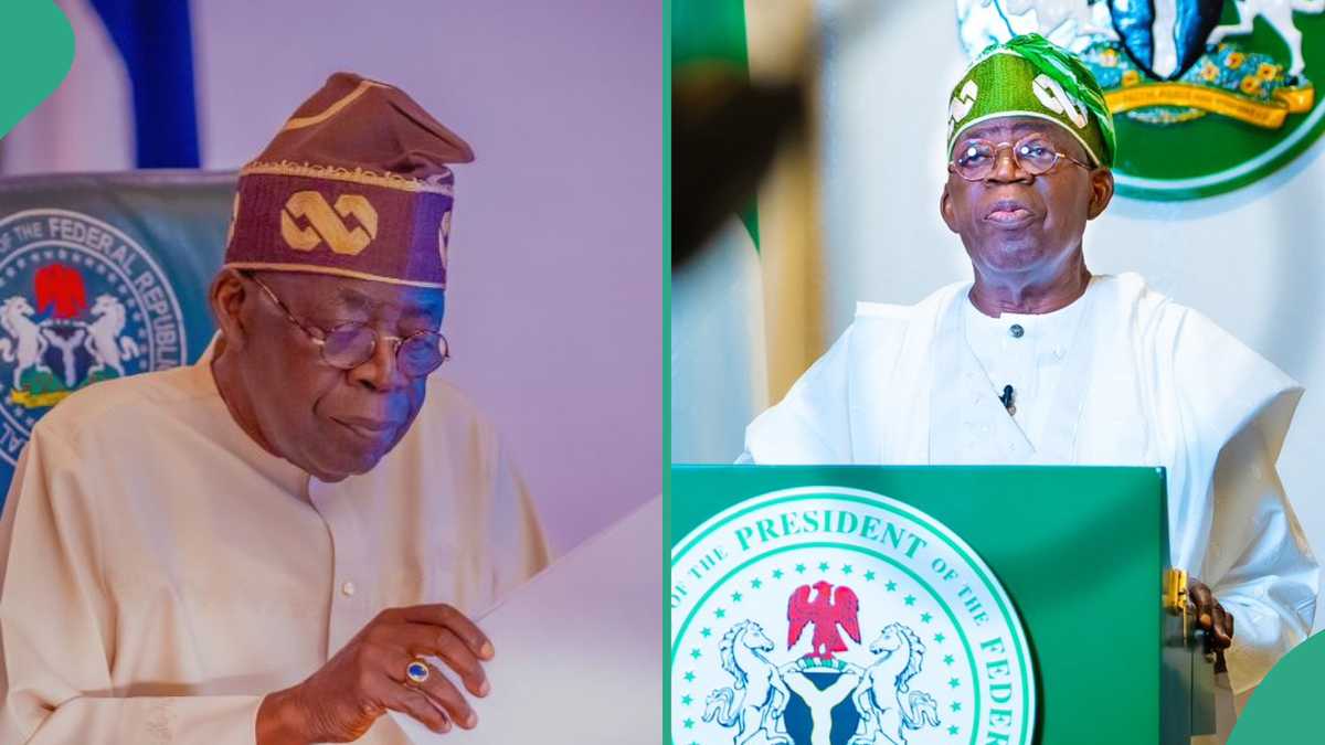 Tinubu Commended Over Action on Nigeria’s Poverty Level [Video]