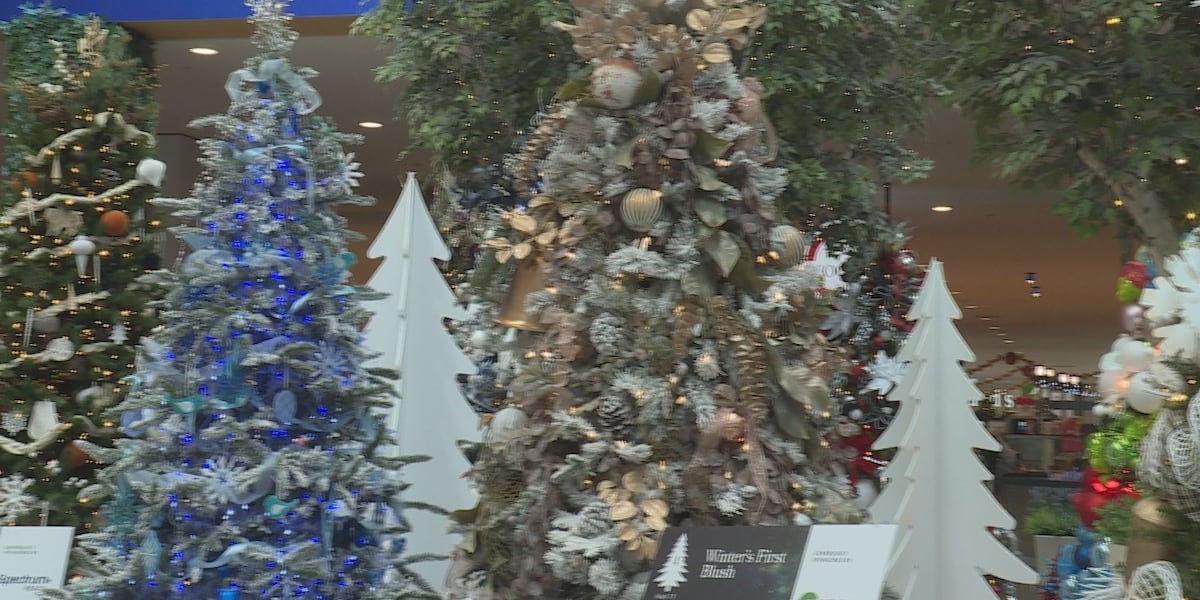 Starry Nights fundraiser returns to Gateway Mall [Video]