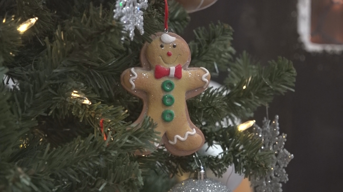 Midcoast Tree Festival sees ‘biggest year yet,’ organizers say [Video]