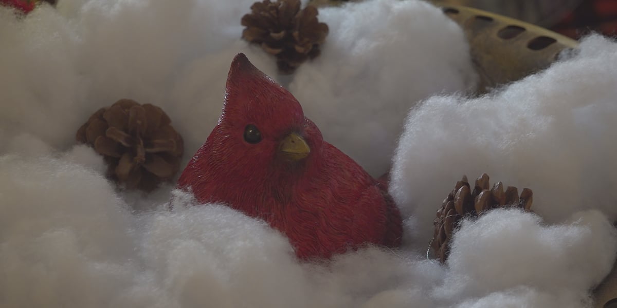 Waterville Festival of Trees concludes with resounding success [Video]