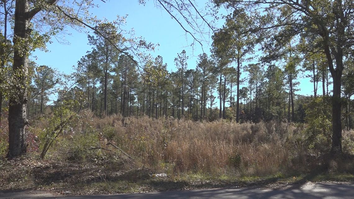 New housing development on Red Bank Road to bring 400 homes to Orangeburg County [Video]