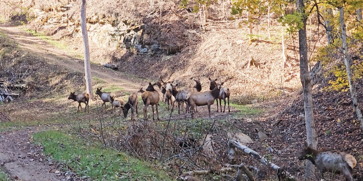 The American Heart Association reminds hunters to be heart healthy [Video]