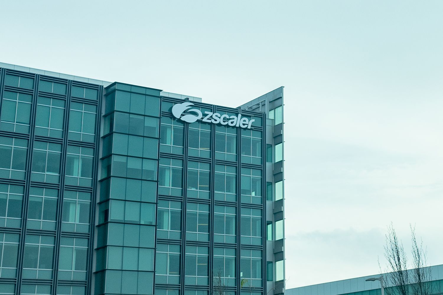 Zscaler Stock Falls on Billings Decline, Weak Outlook [Video]