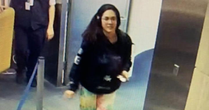 Hannah Kobayashi, missing Maui woman, crossed into Mexico alone: police – National [Video]