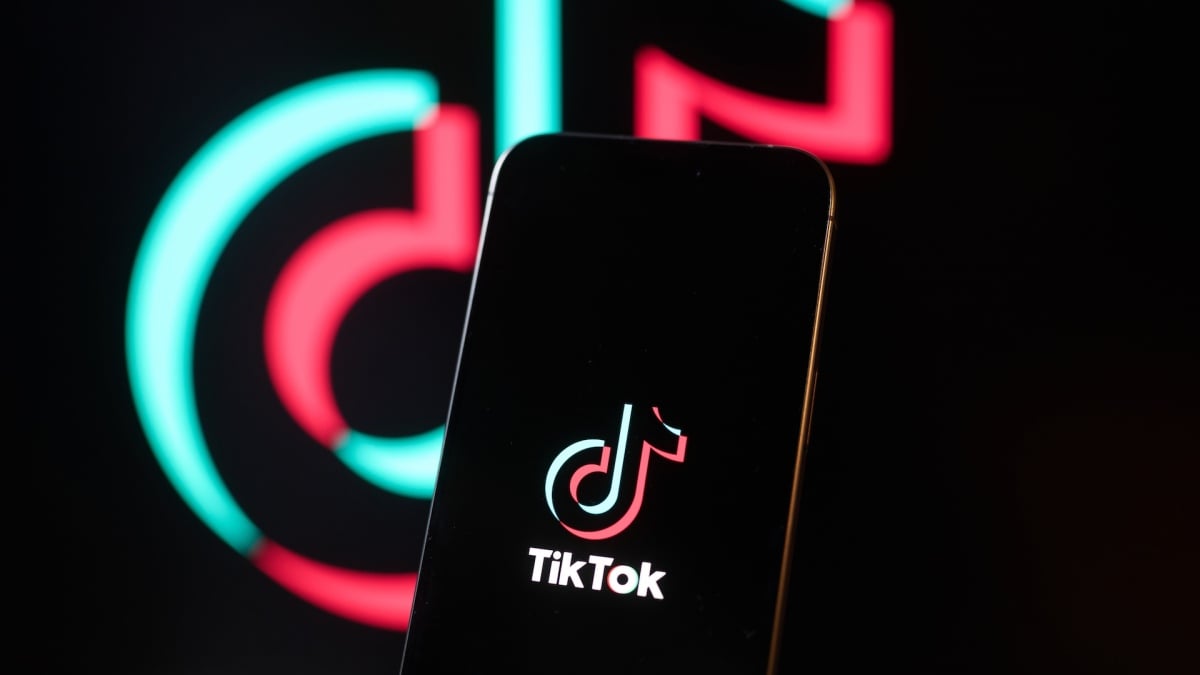 Year on TikTok 2024: All the trends from brat summer to a Moo Deng in finance [Video]