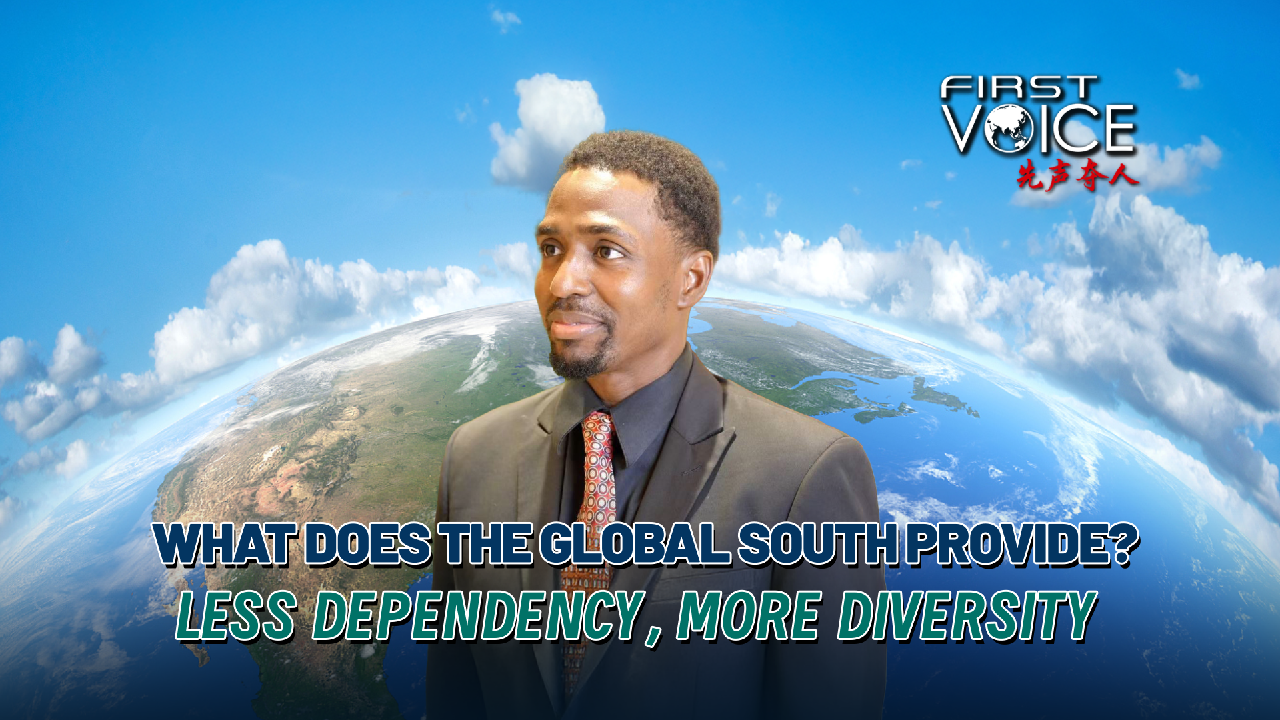 What does the Global South provide? Less dependency, more diversity [Video]