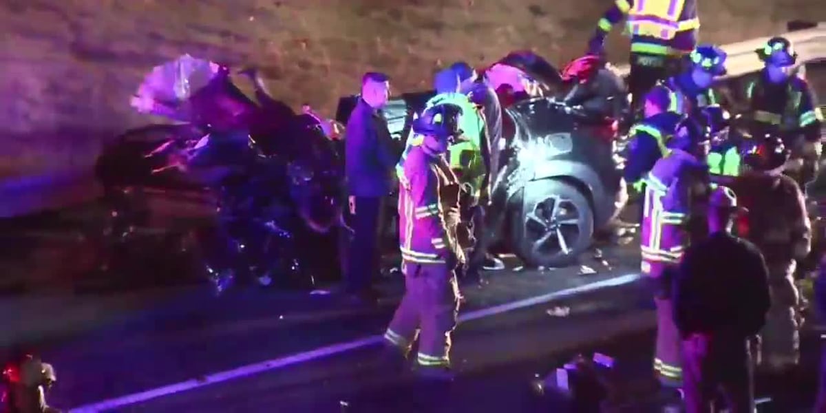 Wrong-way driver in fatal crash with police sergeant was driving drunk, prosecutors say [Video]