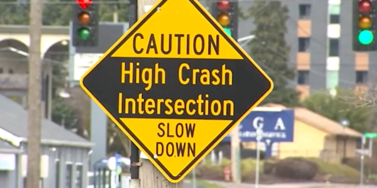 67th traffic death of 2024, highlights PPB, PBOT shortcomings [Video]