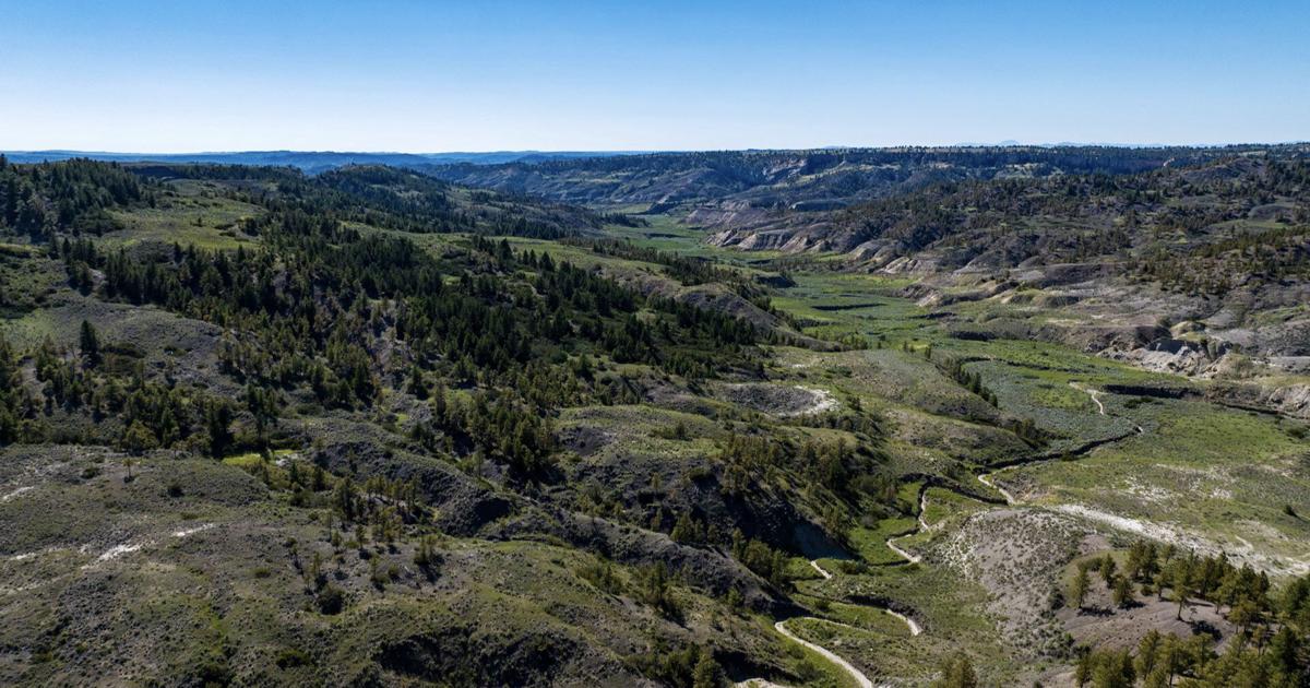 Latest purchase bumps American Prairie to half million acres [Video]