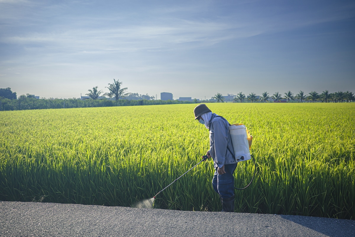 Glyphosate Exposure Linked to Long-Term Brain Inflammation [Video]