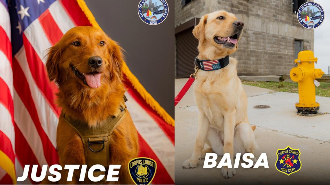 Police, Fire department Dogs get shout out from Corpus Christi [Video]