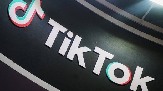 TikTok loses bid in appeal court to halt law that could lead to U.S. ban [Video]