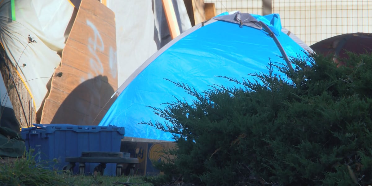 Peoria city leaders don’t plan to clear encampments for weeks [Video]