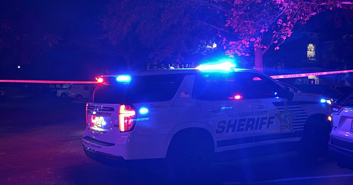 Deputies shoot kill, man who pointed gun at them: HCSO [Video]