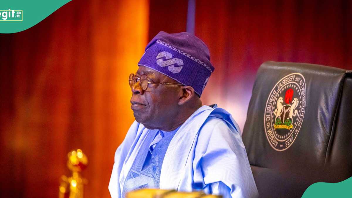 “BATeria”: Nigerians Angrily React to Tinubu’s “Things Are Changing” Statement [Video]