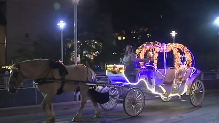 Horse carriage debate heats up ahead of San Antonio City Council vote [Video]