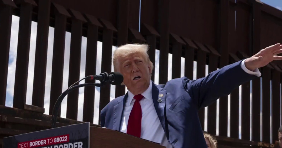 Trump says he will follow through with mass deportation plan [Video]