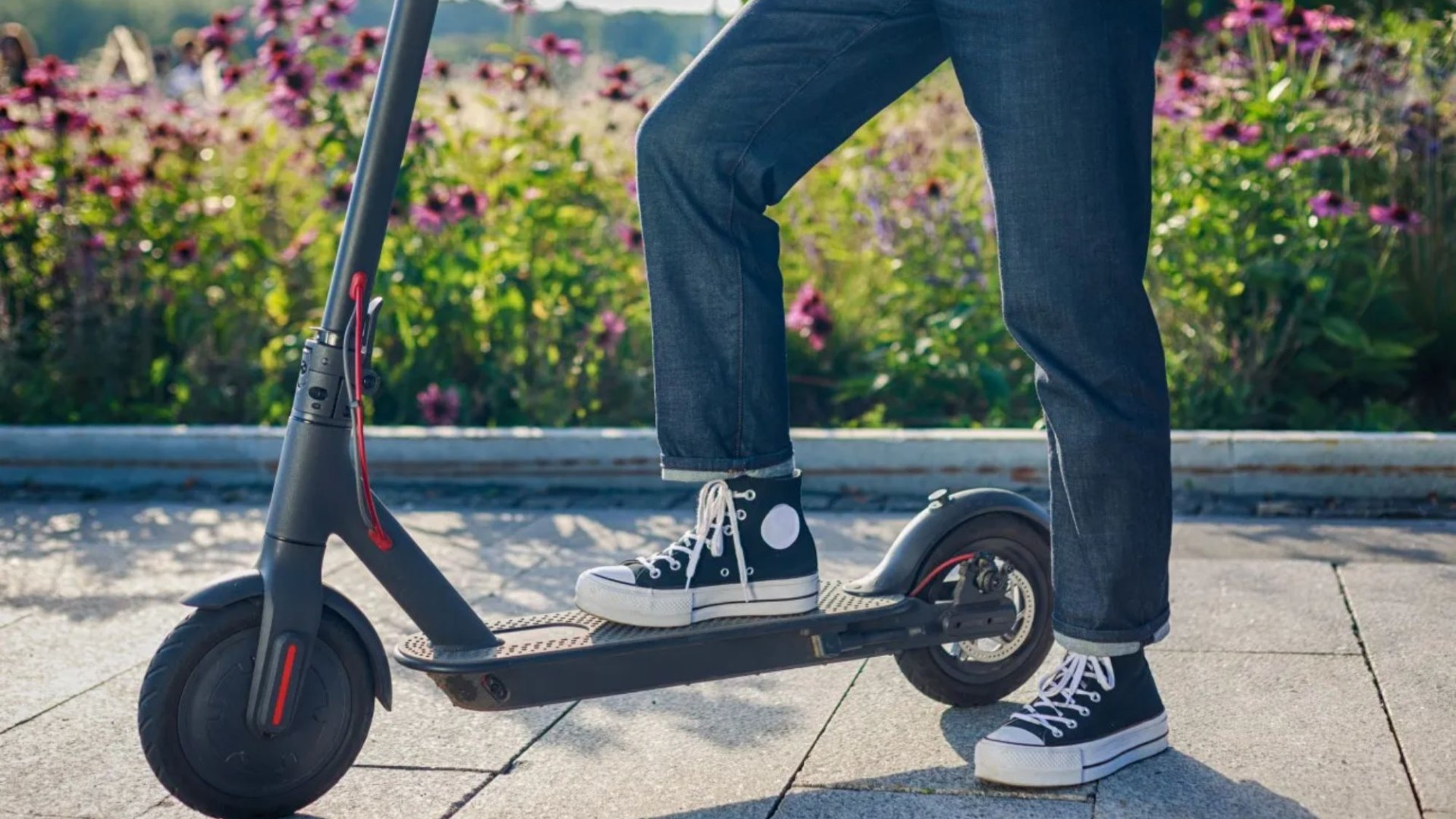 Injuries from e-scooters on the rise ashealth bossescall for helmets to be made mandatory [Video]