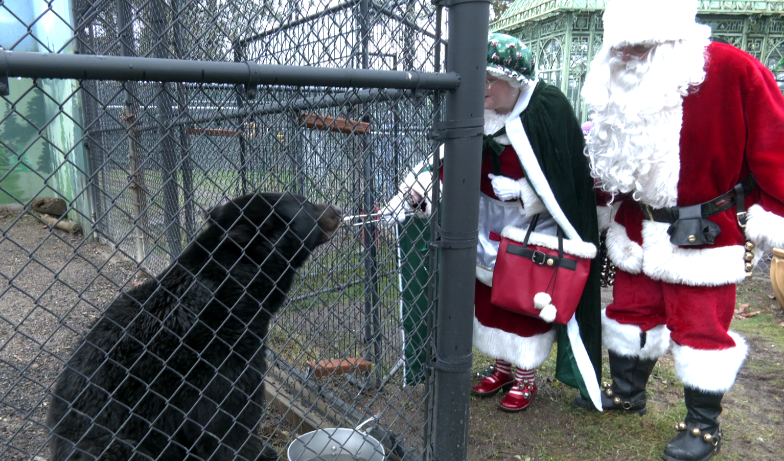 Animals at Cat Tails Wildlife Refuge enjoy Christmas gifts [Video]