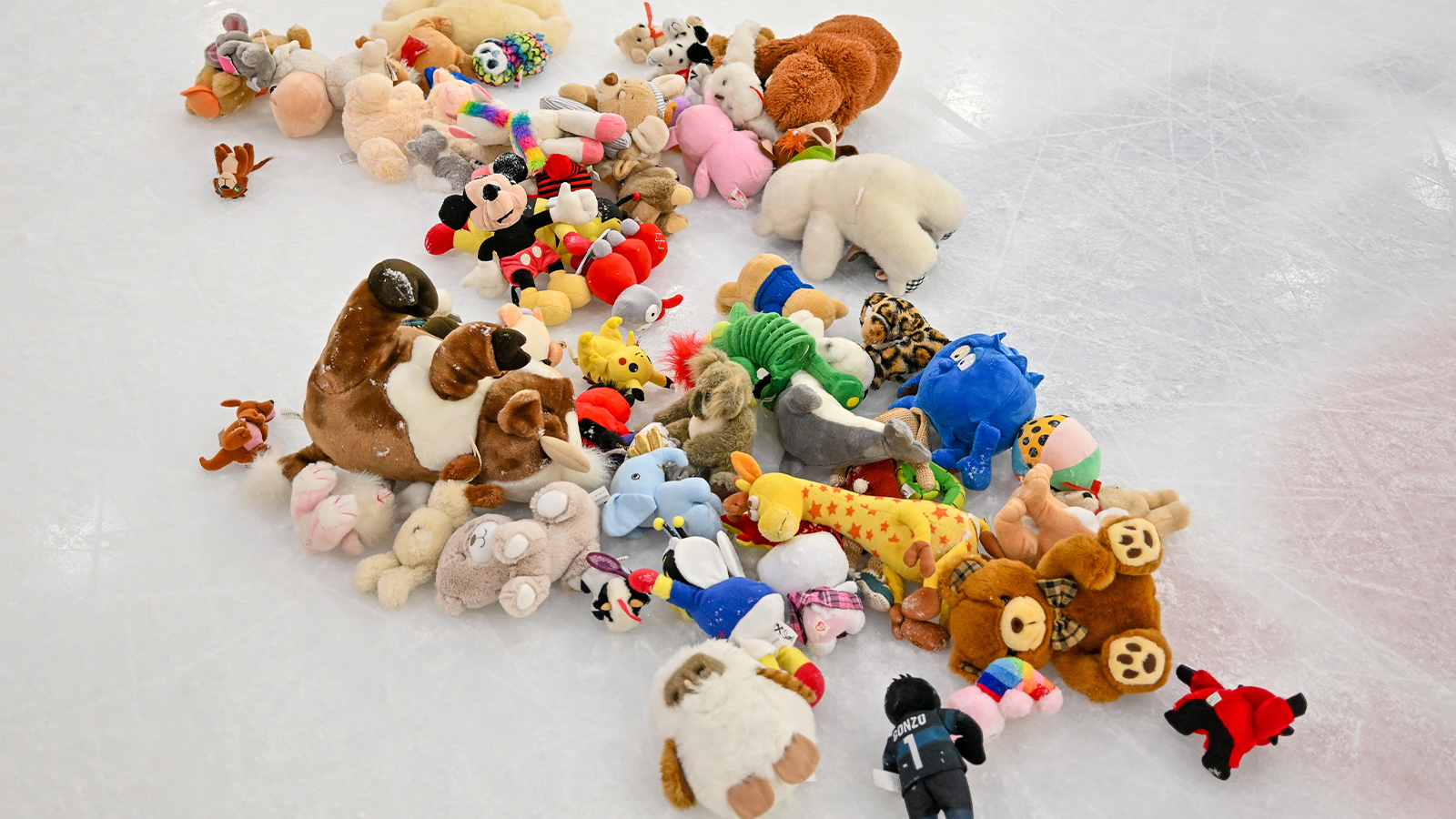 Fight Breaks Out During Teddy Bear Toss At OHL Game [Video]