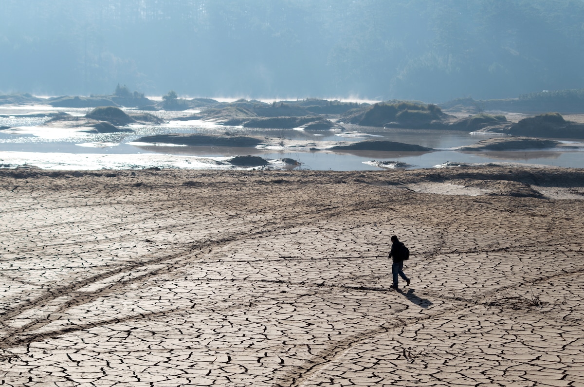 40% of Earths Land Is Now Drylands, Excluding Antarctica, Research Finds [Video]