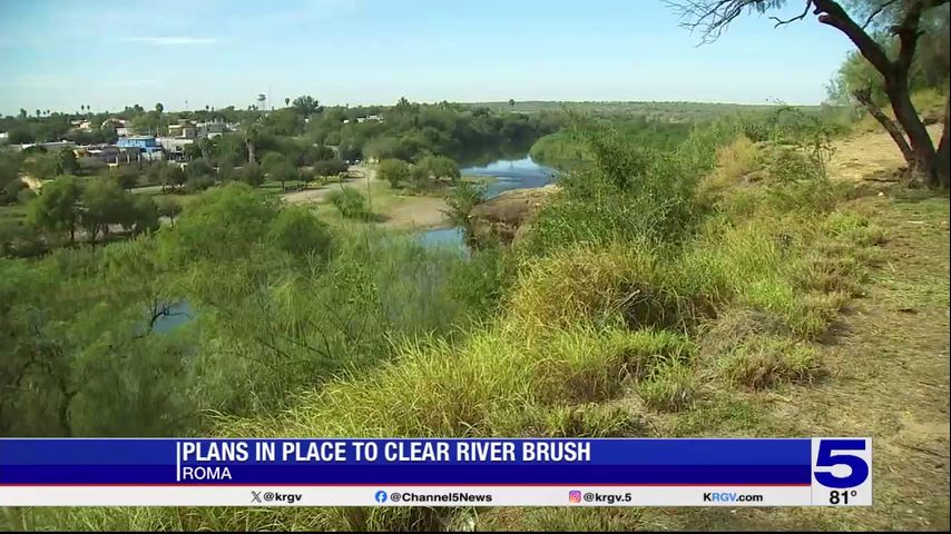 Riverbank being cleared of brush in Roma thanks to state and federal partnership [Video]