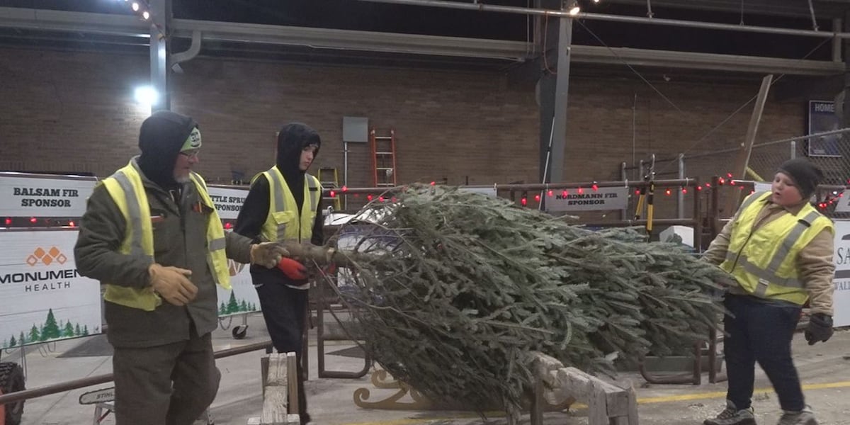 The Club for Boys hosting 42nd annual Christmas tree sale [Video]