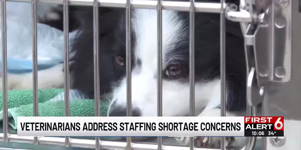 New Omaha pet hospital offers telehealth, home visits to fill gap in care [Video]