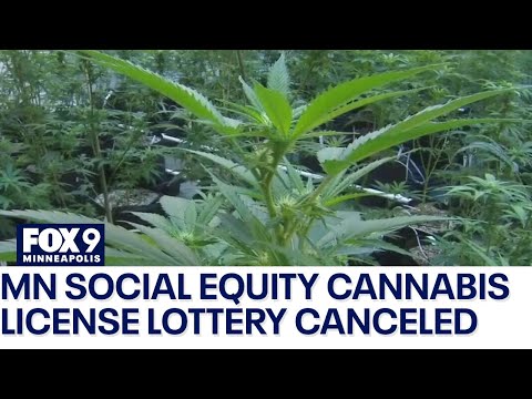 After cannabis social equity lottery cancelation MN will be the 3rd slowest state to start sales [Video]