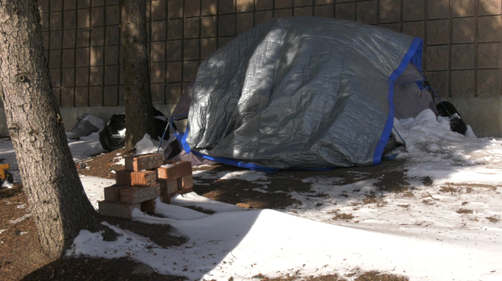 Saskatoon homeless population tripled since 2022, city says [Video]