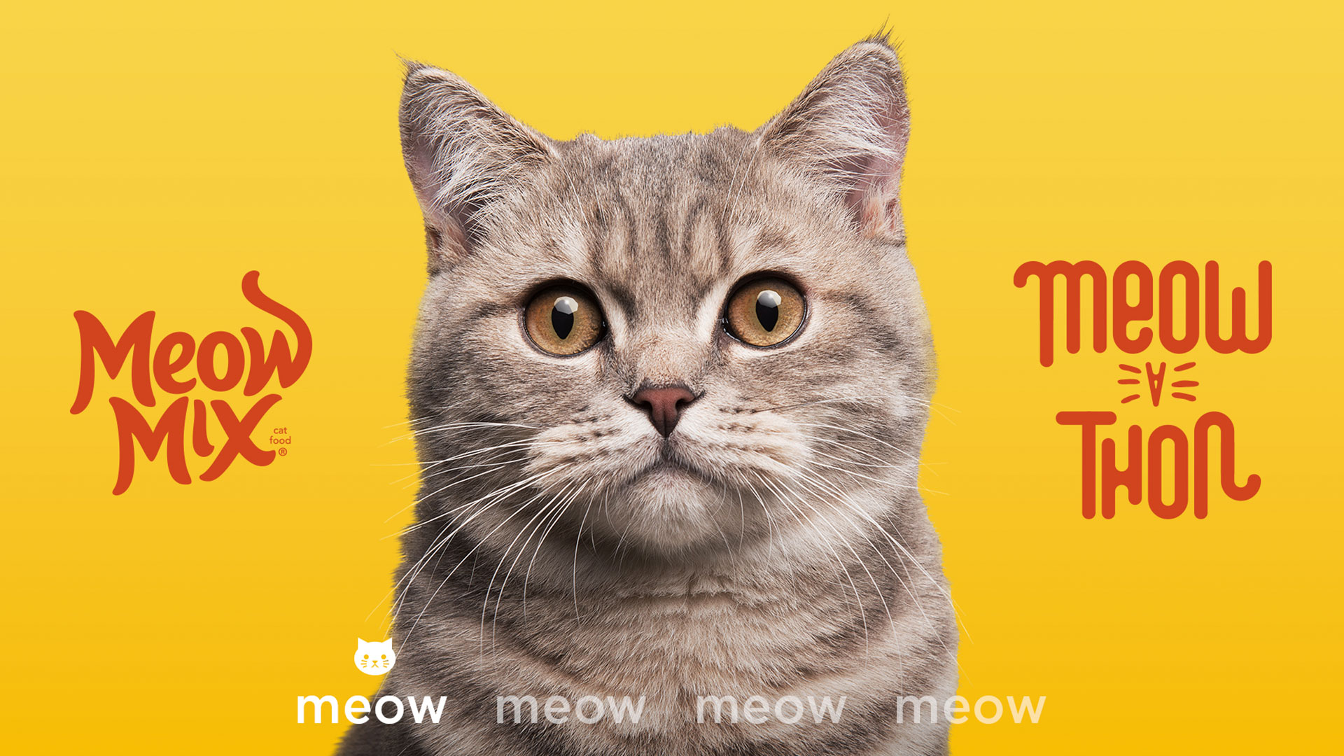 Meow Mixs 12-Hour Jingle | Glossy [Video]