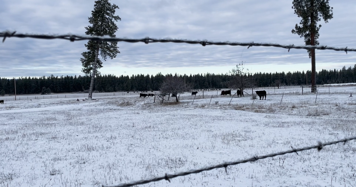 ‘Yellowstone’ has changed ranching in Montana [Video]