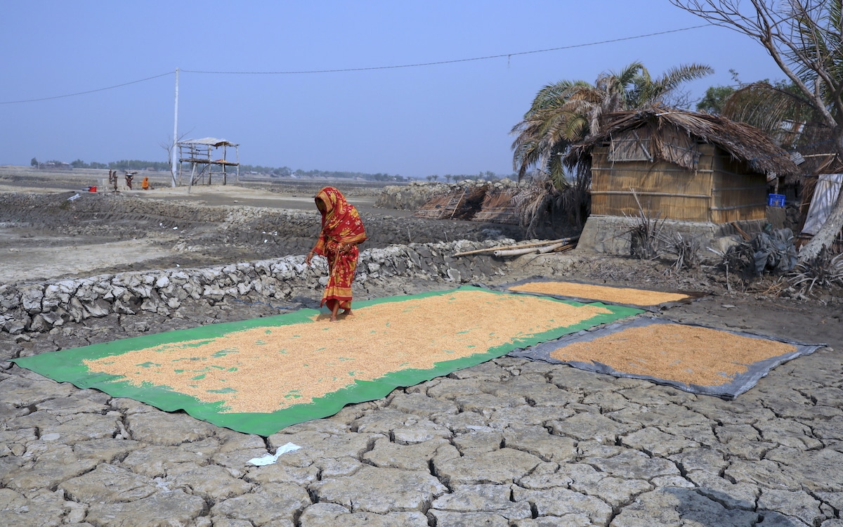 Rapidly Increasing Soil Salinity Threatens Global Food Supply: UN Report [Video]