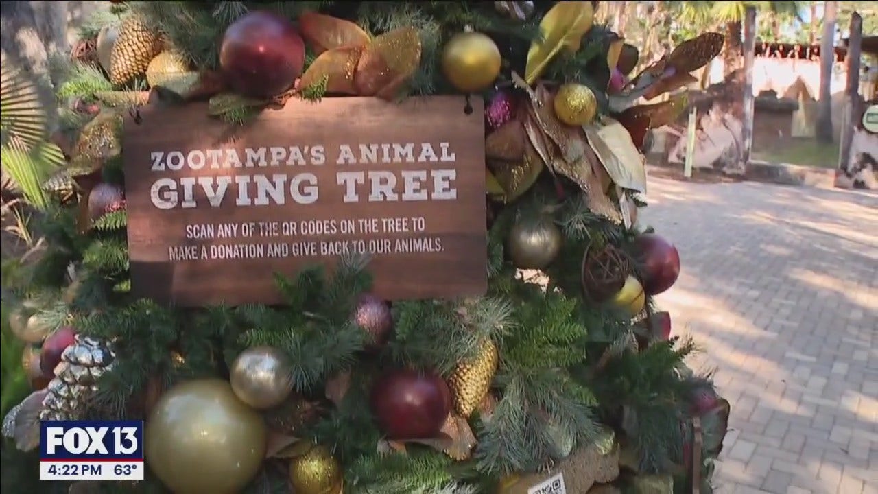 Christmas in the Wild at ZooTampa [Video]