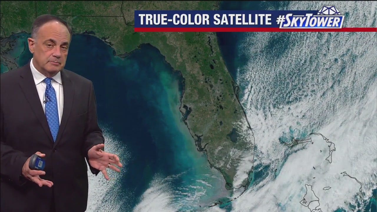 Tampa Weather | Steady warm-up into next week [Video]