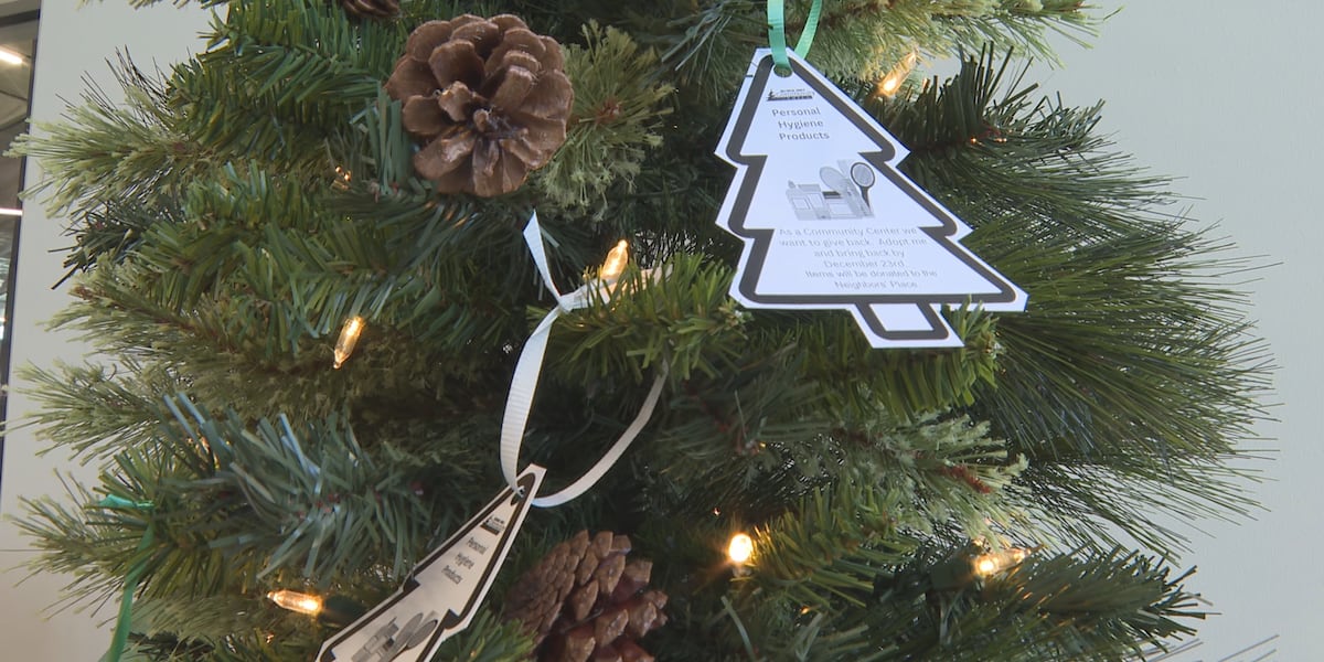 Greenheck Turner Community Centers Giving Tree is a way to give back [Video]