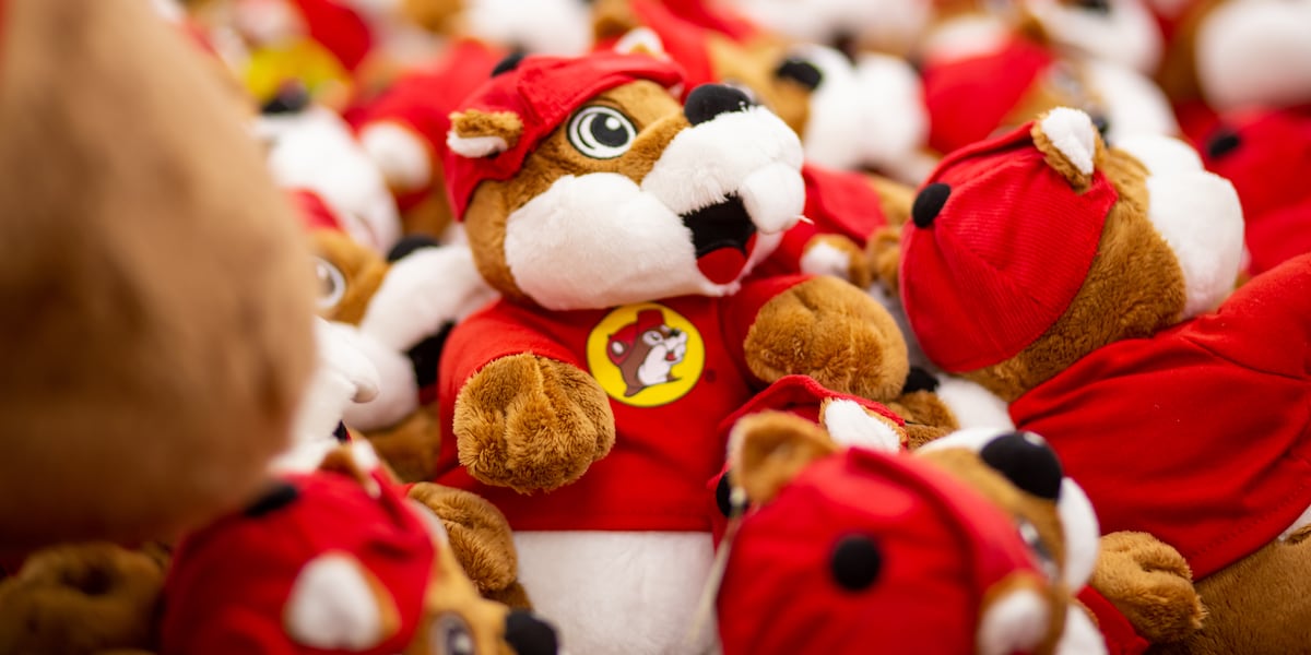 Board votes to move forward with plans for Buc-ees in Palmer Lake [Video]