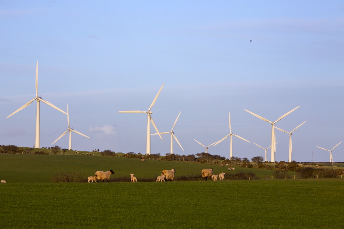 UK Government Announces Plan for 95% Green Energy by 2030 [Video]